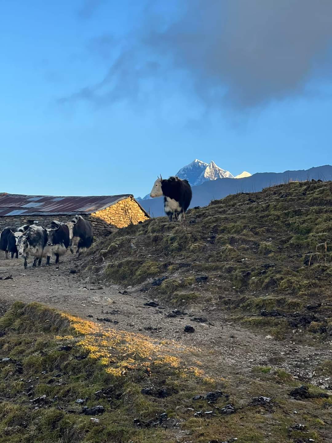 Annapurna Circuit Trek with Poonhill 2026 - view 43